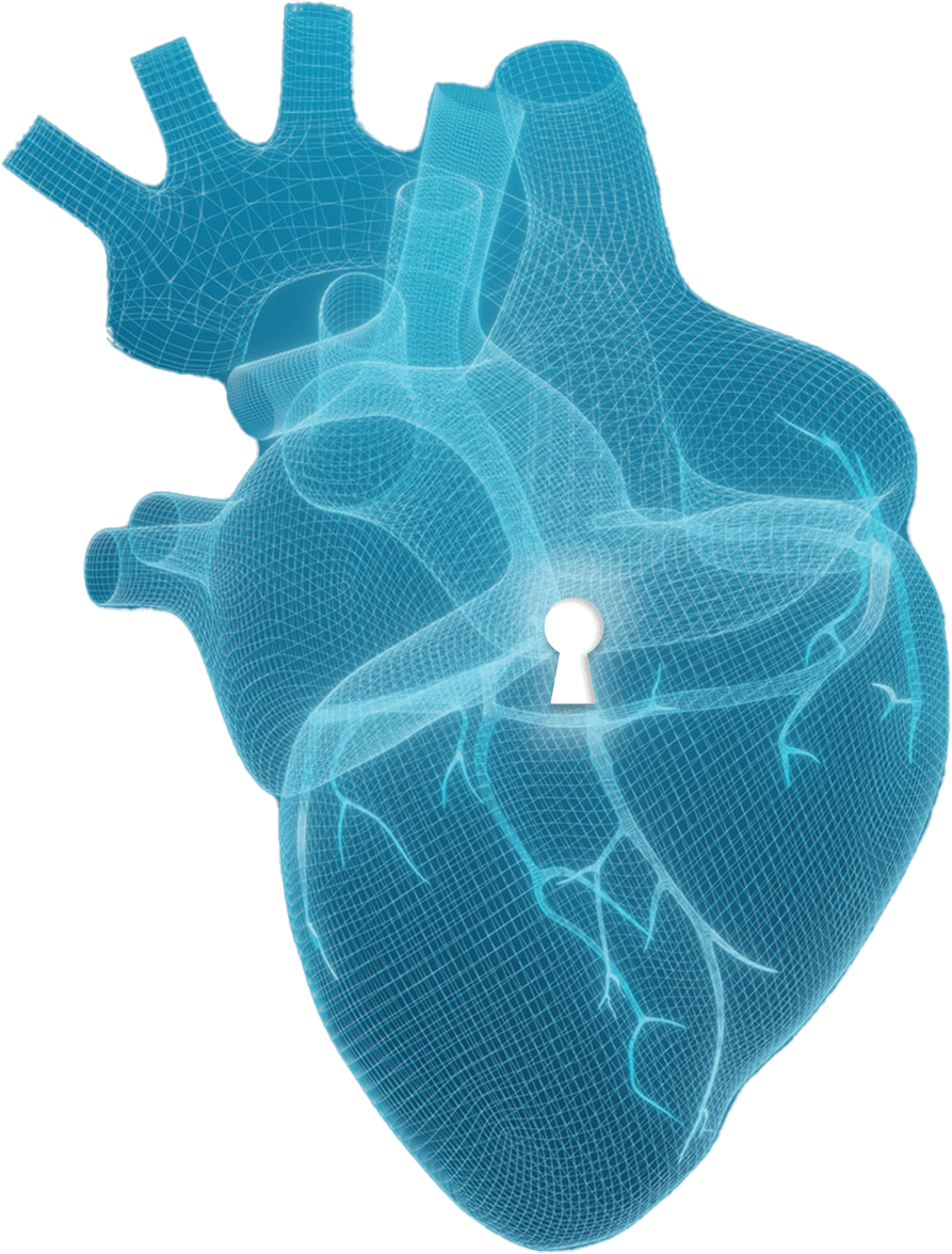 イメージ画像：心臓鍵穴手術